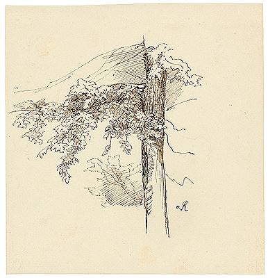 Baumstudie