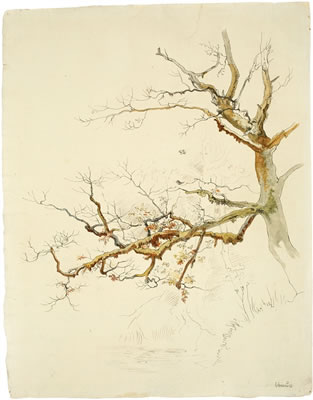 Baumstudie by August Leopold Venus - Auction record, sale price, and art valuation. Compare with similar artists and explore comparable artworks.