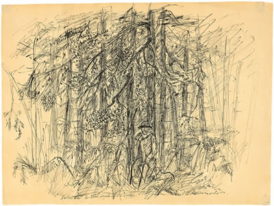 "Herbstwald. Der Nebel regnet in die Wipfel."