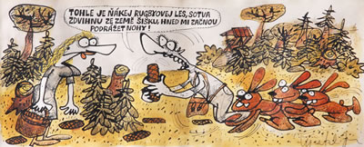 TOHLE JE NÁKEJ RUGBYOVEJ LES, SOTVA ZDVIHNU ŠIŠKU, HNED MI ZACNOU PODRÁŽET NOHY!