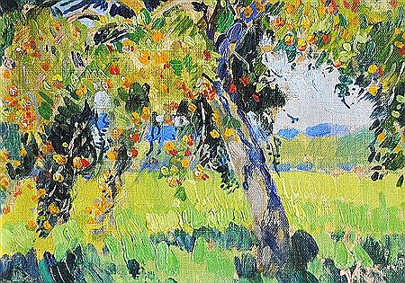 Apple tree in summer