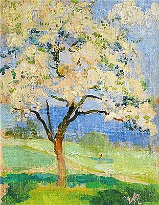 Flowering apple tree