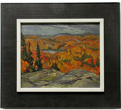 ALGONQUIN PARK EAST OF KASHE LAKE