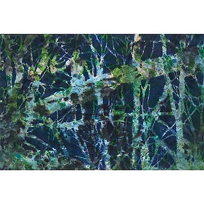 TWILIGHT GAME, 2010 by Edward Pien - Auction record, sale price, and art valuation. Compare with similar artists and explore comparable artworks.