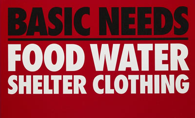 Basic Needs
