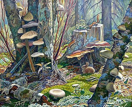 Forest Life
