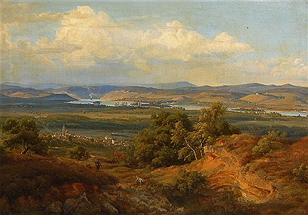 Sonnige Donaulandschaft