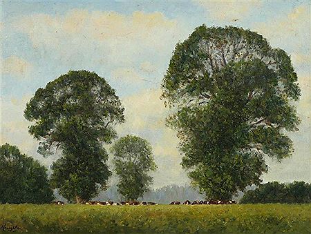 SUMMER ELMS