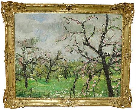 Apple Blossom