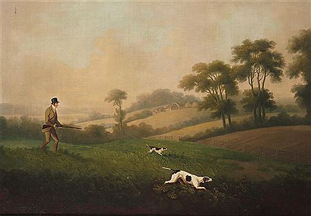 Partridge shooting; Woodcock shooting; Pheasant shooting (3)