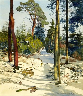 Verschneiter Waldweg im Sonnenlicht