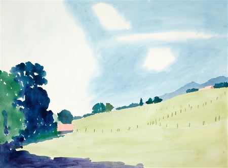 Landschaft bei Feldbrunnen